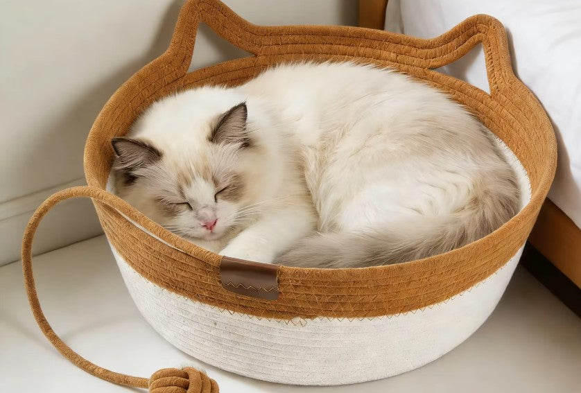 Panier Chat